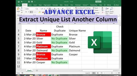 Excel Extract Unique Items From A List Youtube