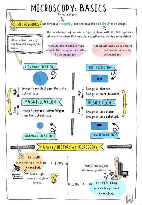 Get Your FREE GCSE Biology Revision Notes On Microscopy These