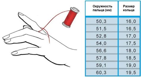 Таблица размеров мужских и женских колец: Китай, Россия, США, Европа