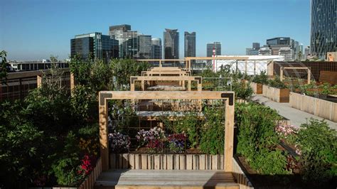 Skyfarm Is the New Urban Farm and Beacon of Sustainability Opening on a