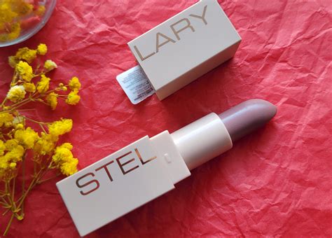 Славная помада А нет показалось Stellary Nude Lips Long Lasting Lipstick в оттенке 05