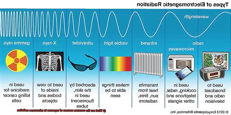 What are the common sources of exposure to microwave radiation ...