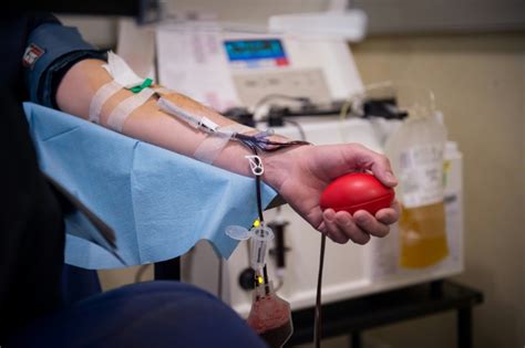 Gay Rights Activists Complain To Eu Over French Blood Donor Sex Ban George Herald