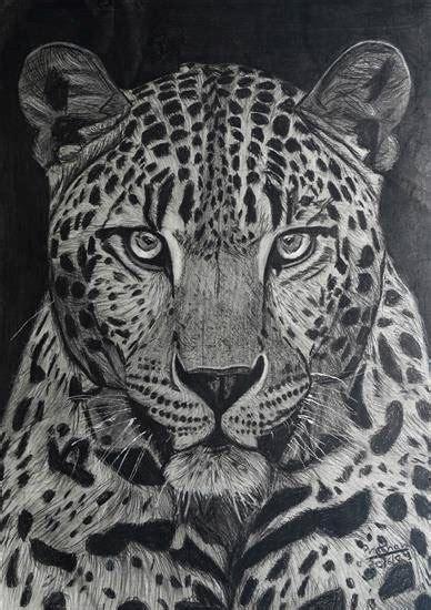 Tiger Drawing Painting by Pratham Chauhan