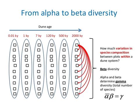 Alpha Beta Gamma Diversity Example