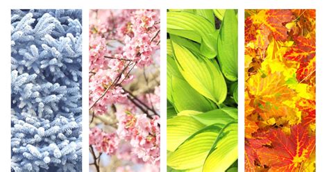 Os Equinócios Marcam O Início De Quais Estações Do Ano