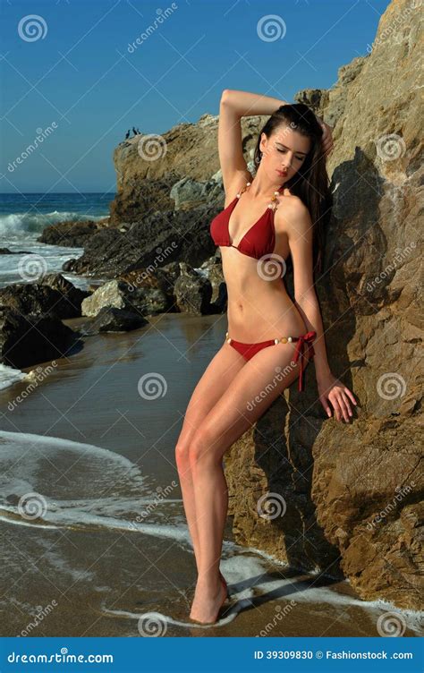 Bikini Model Posing In Front Of Rocks Stock Photo Image Of Curves