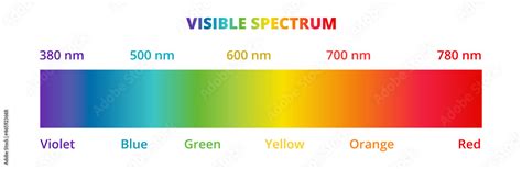 Visible light spectrum diagram isolated on a white background. Color