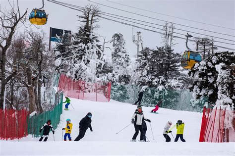 Yongpyong Ski And Stay 2024 Book Now Vip Travel