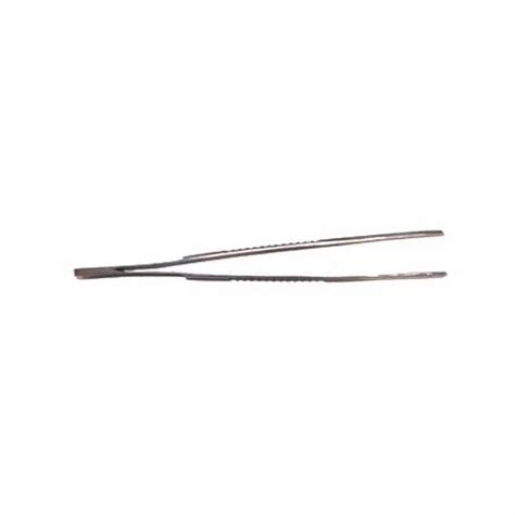 Dissecting Forcep Plain At Rs 95piece Dissecting Forcep In Jalandhar