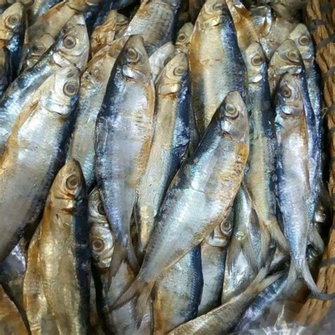 dried fish tamban  cebu myxxmarket