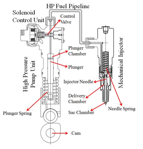 Schematic Of Ceup Fuel Injection System Download Scientific Diagram