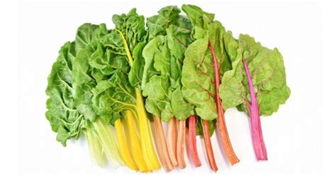 How To Make Swiss Chard Taste Good