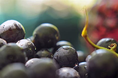 Wine Map of Washington State — MEMPHIS WINE SOCIETY