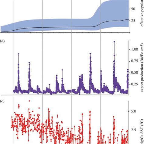 Matrilineal Demographic History Of Gray S Beaked Whales Based On