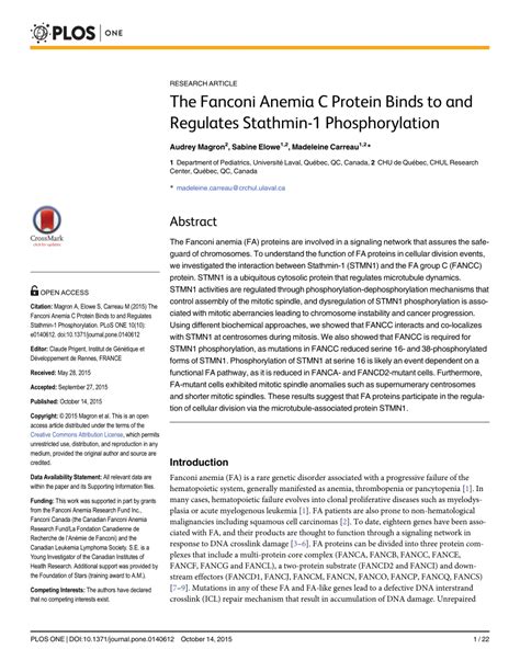 PDF The Fanconi Anemia C Protein Binds To And Regulates Stathmin 1