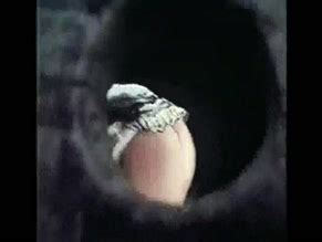 FOUNTAIN OF LUST NUDE SCENES AZNude