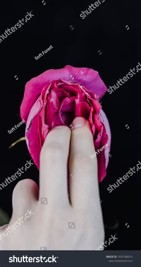 Im Genes De Suggestive Sex Im Genes Fotos Y Vectores De Stock Shutterstock