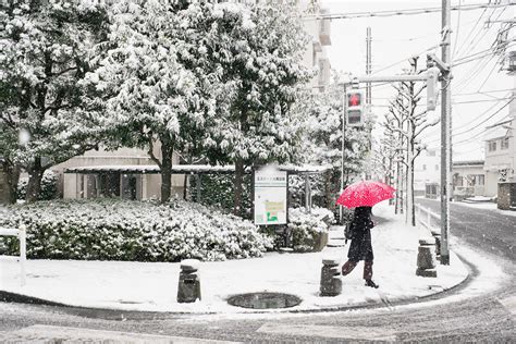 Suburban Tokyo in the snow — Tokyo Times