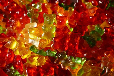 Free Images : plant, flower, petal, bear, dish, food, produce