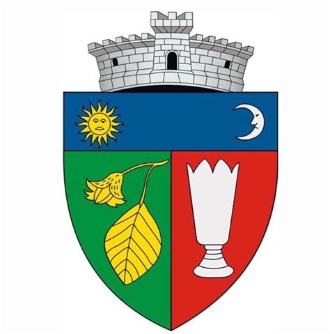 PrimĂria Bixad Ghidul Primariilor