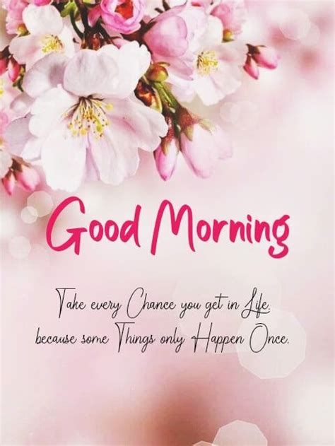 Latest Good Morning Pictures On Pinterest For Download Good Morning