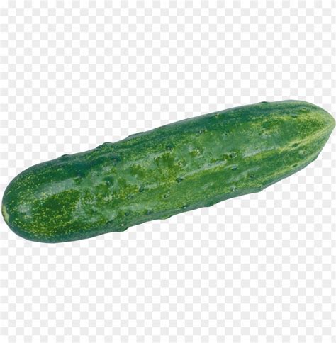 Free Download Hd Png Clear Png Png Transparent With Clear Background