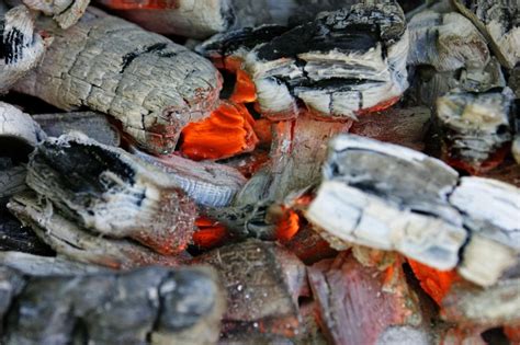Как выбрать уголь для мангала | Вокруг Света