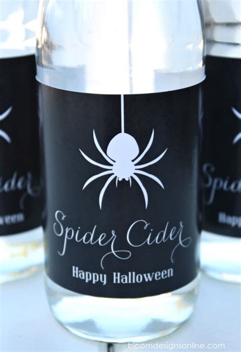 Spider Cider Bloom Designs