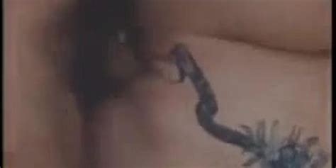 Captain Hooker And Peter Porn Tnaflix