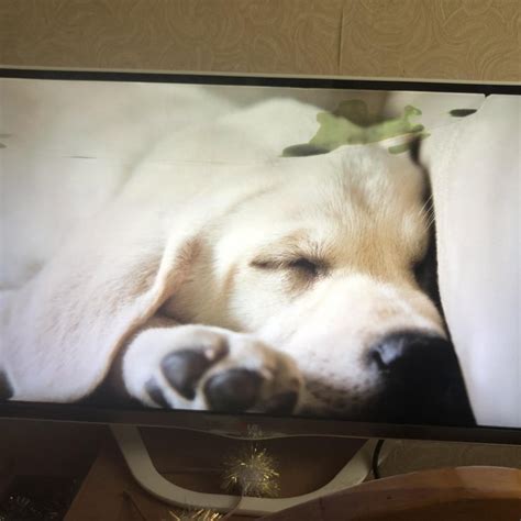 Телевизор LG – купить в Улан-Удэ, цена 9 500 руб., дата размещения: 06. ...