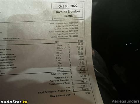 Aeriesaunders Nude OnlyFans Photo 6 Nudostar TV