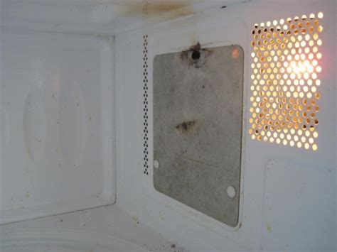 Слюда для микроволновки: для чего нужна, как и чем заменить, где взять ...