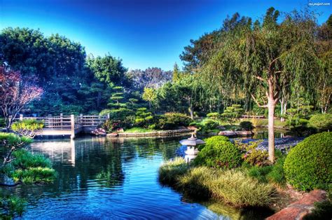 Park Staw