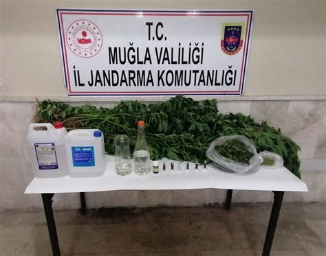 Muğla da kaçak içki kenevir ve uyuşturucu madde ele geçirildi