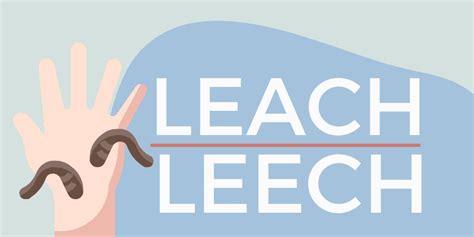 leach  leech whats  difference