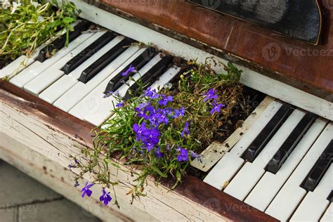 The Old White Piano With Purple Flowers On The Street 13058516 Stock