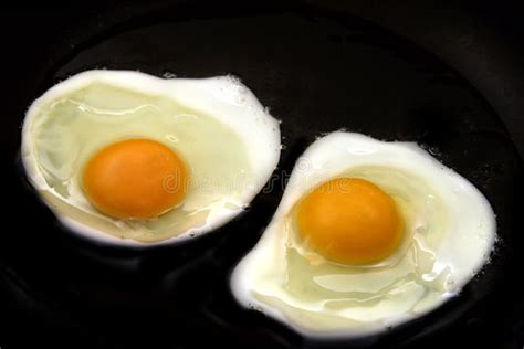 Two Eggs Stock Image Image Of Chicken Objects Breakfast 2021693