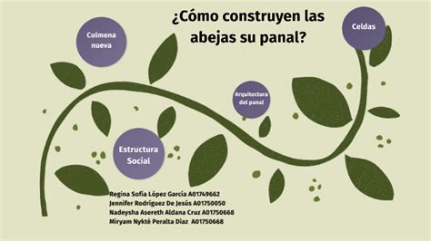 C Mo Construyen Las Abejas Su Panal By Cinthya Ch Vez On Prezi