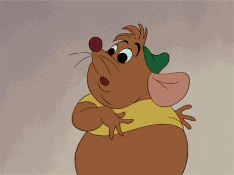 Cinderella Gus S Find And Share On Giphy