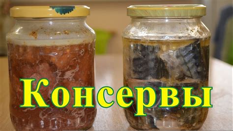 Домашние консервы. Скумбрия в масле , тушёнка из говядины. - YouTube
