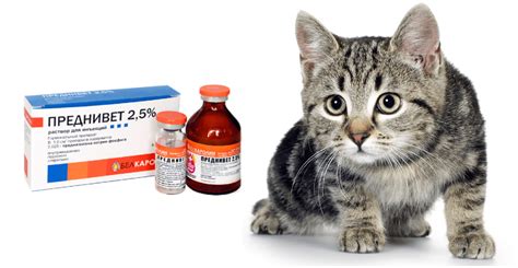 Преднивет для кошек для чего назначают