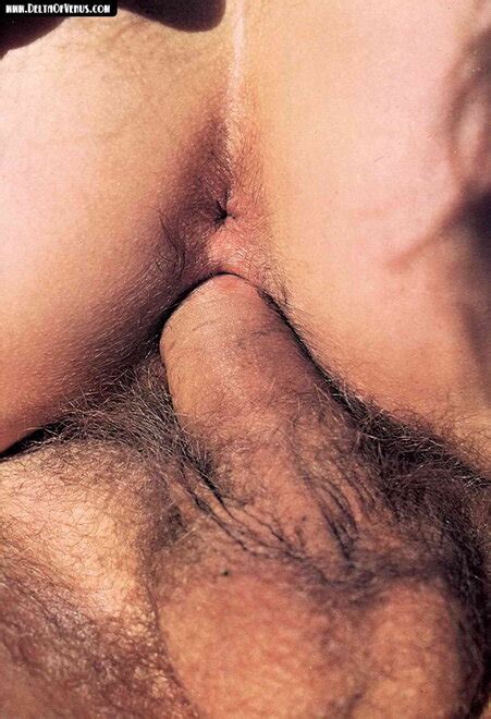 Vintage Sex Porn Pic