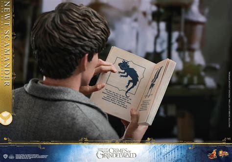 Hot Toys Mms Fantastic Beasts Tcog Newt Scamander Hot Toys Complete Checklist