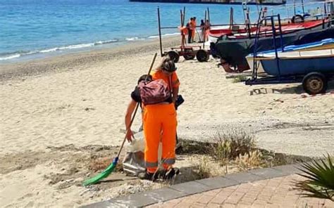 Ferragosto Raccolta Porta A Porta Regolare Predisposti Interventi Per