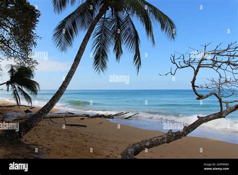 bluff beach  res stock photography  images alamy