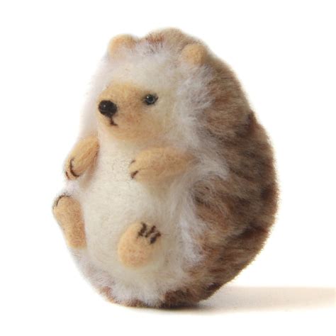 tips for hedgehog scratching for beginners 2