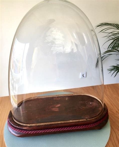 Antique Glass Display Dome Display Case On Wooden Base 1 Catawiki