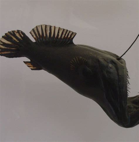 Berita Angler Fish Terbaru Hari Ini Bobo