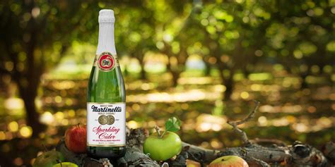 Sparkling Cider 25.4oz - Sparkling Juices - S. Martinelli & Co